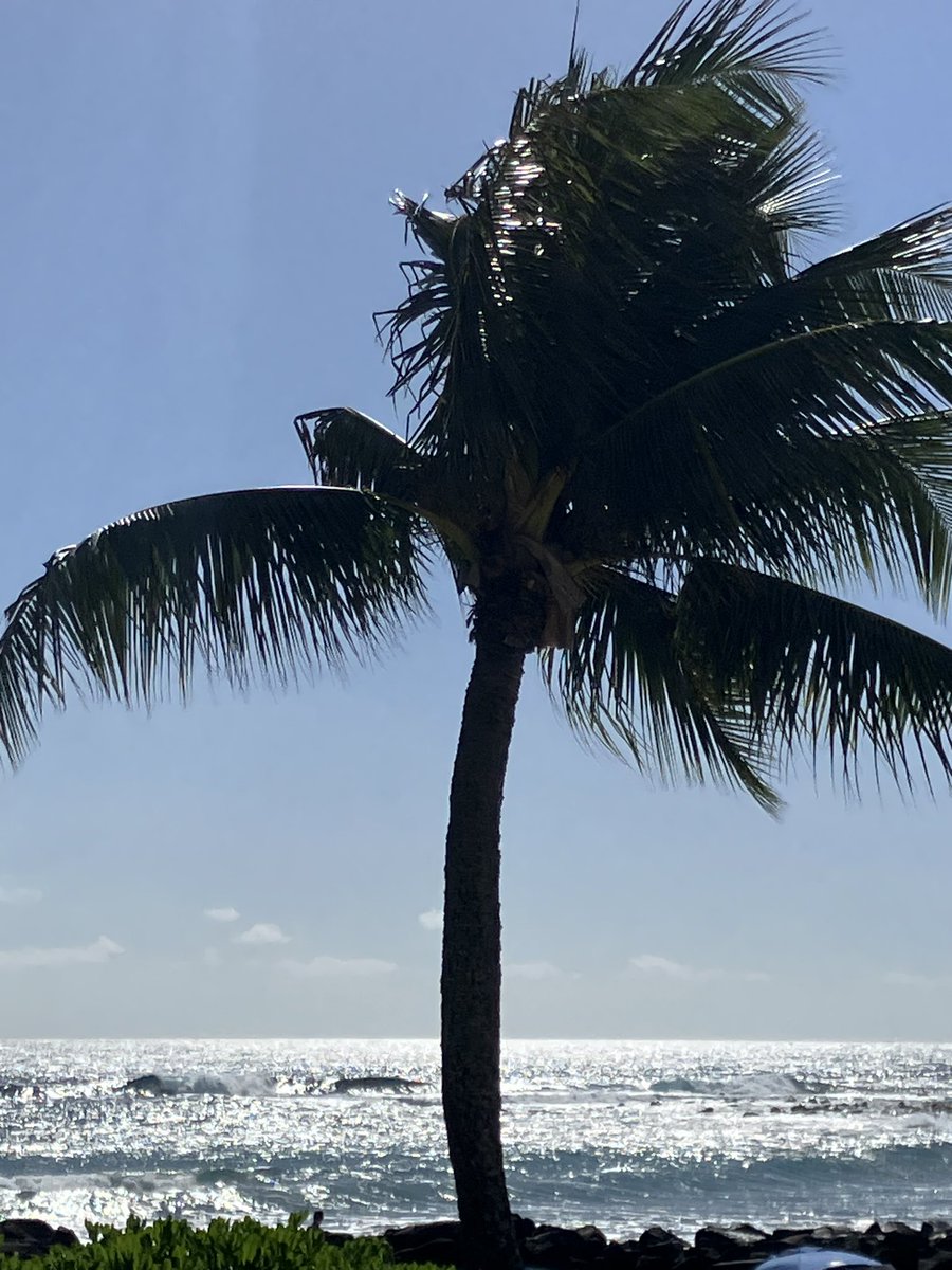 Jason DiStefano tweet media