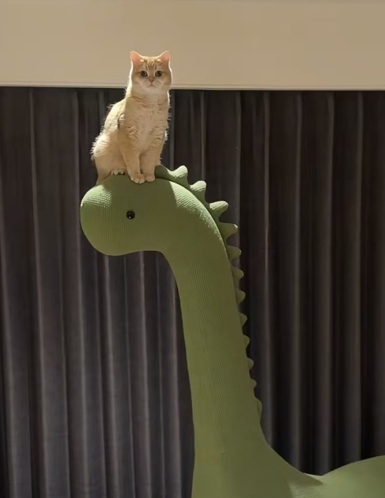 yuyue_chris's tweet image. 是不是为了迎接迪拜开大会， $BTC 应激了

BTC：喵