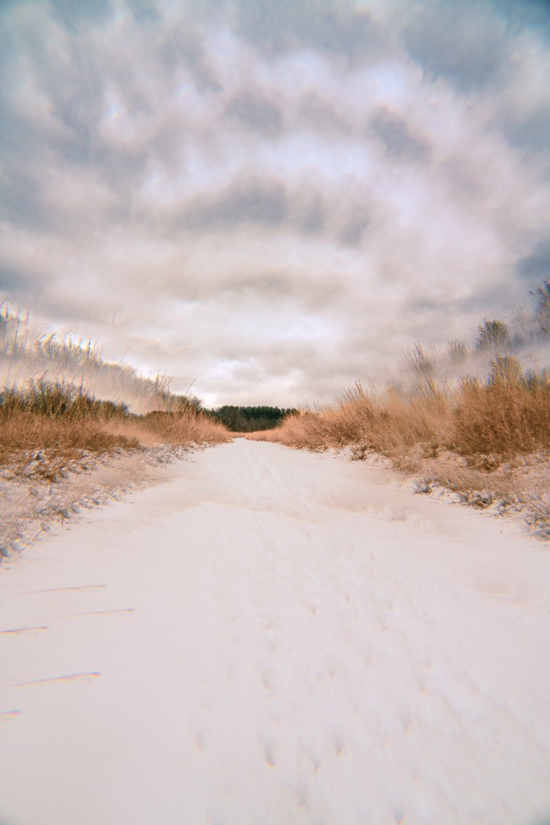 JesseCanady27's tweet image. 