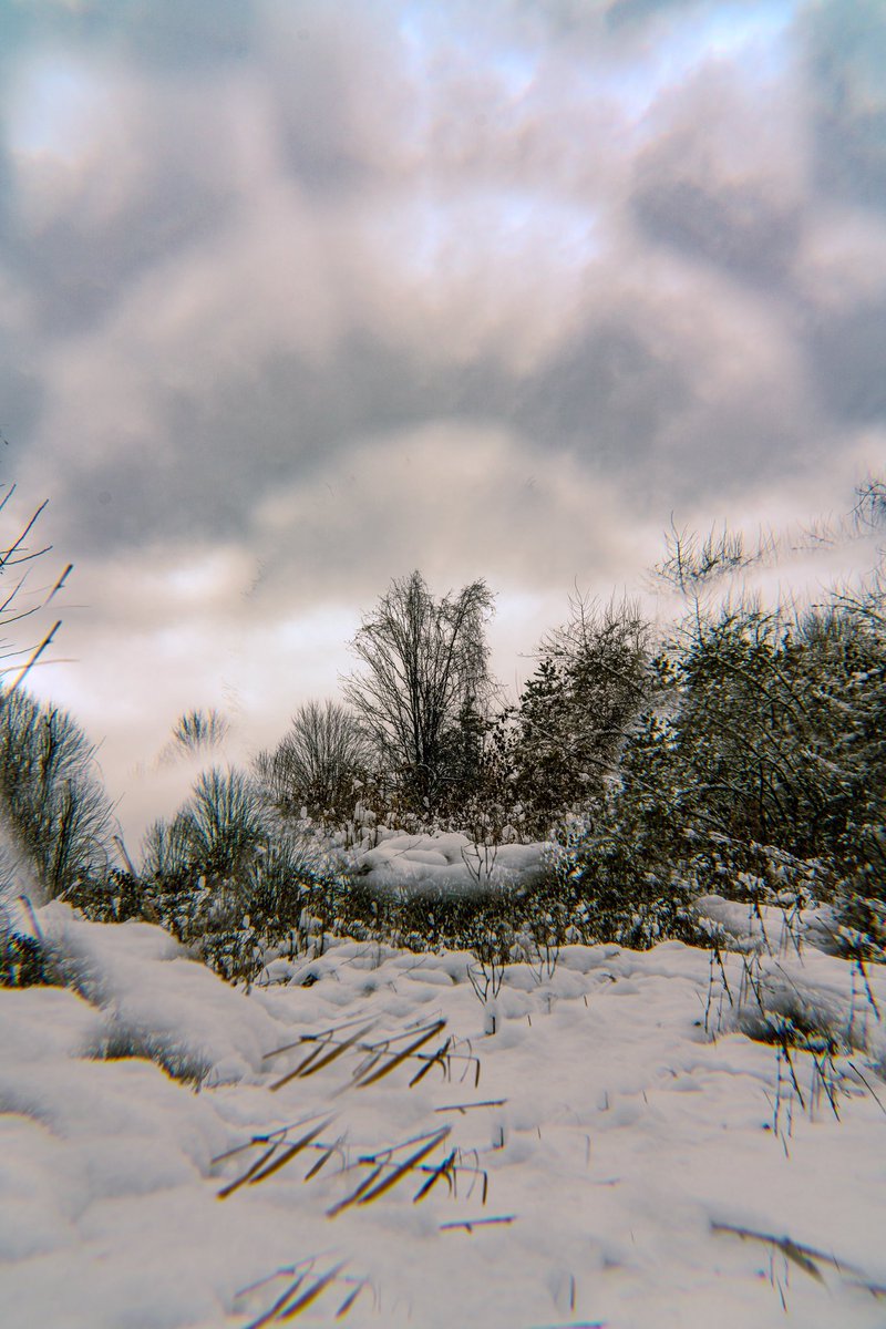 JesseCanady27's tweet image. 