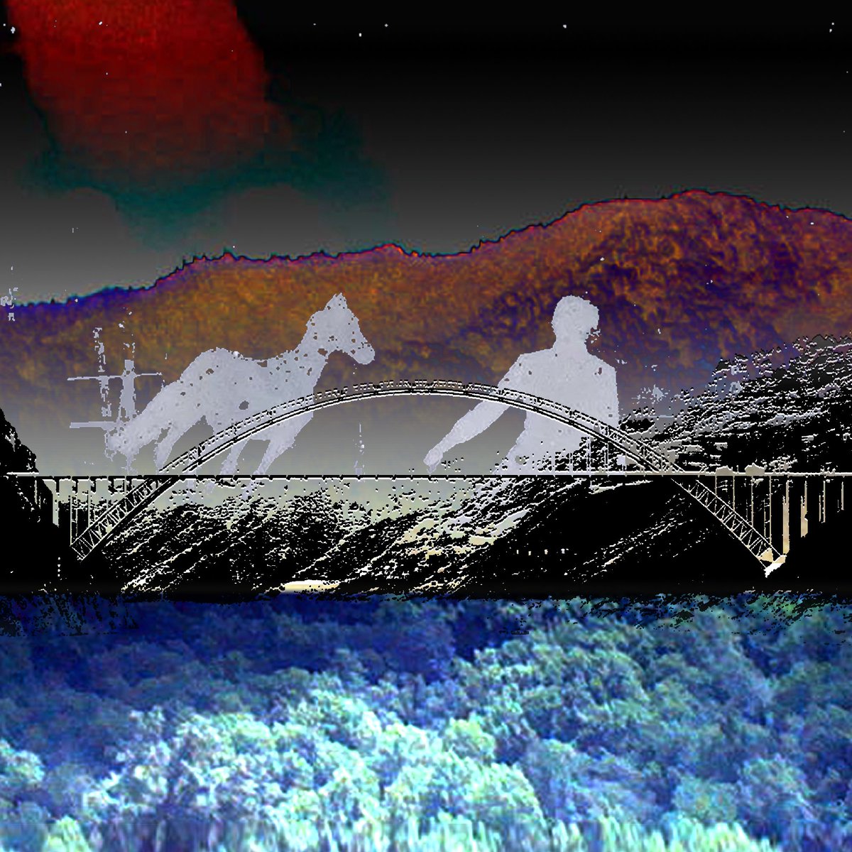 the speed of light tweet media