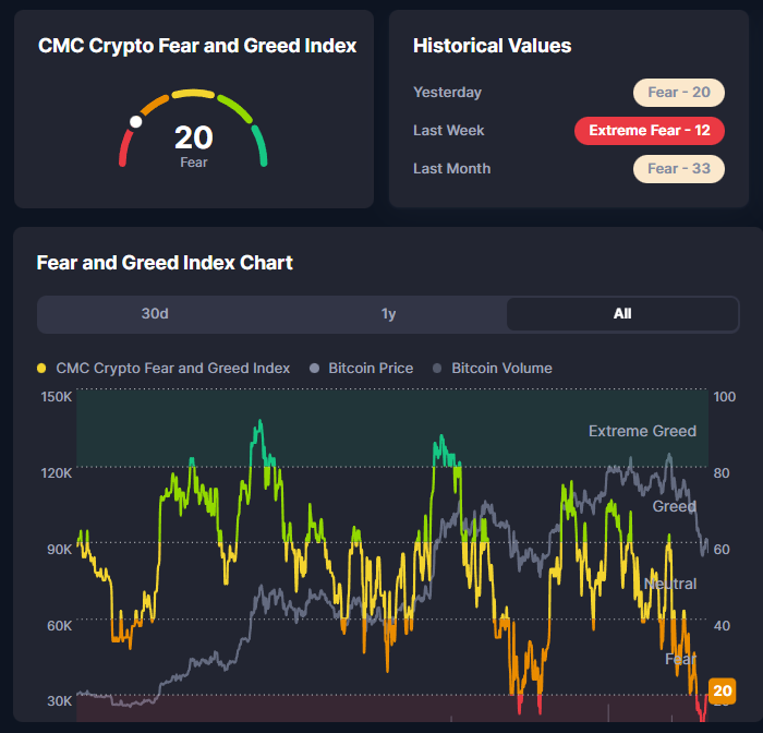 Daniel Grosso ツ tweet media