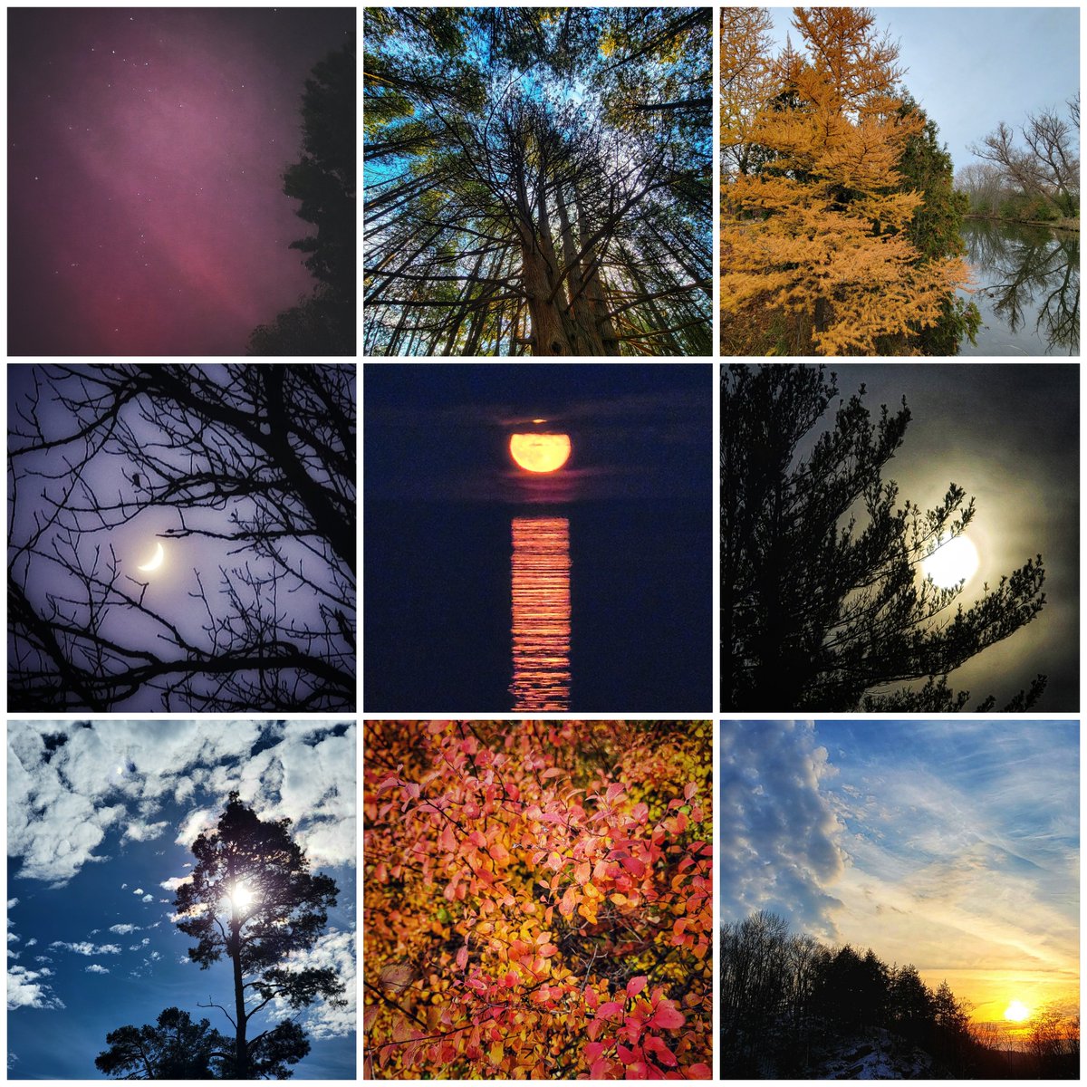 Shapes and shades of November