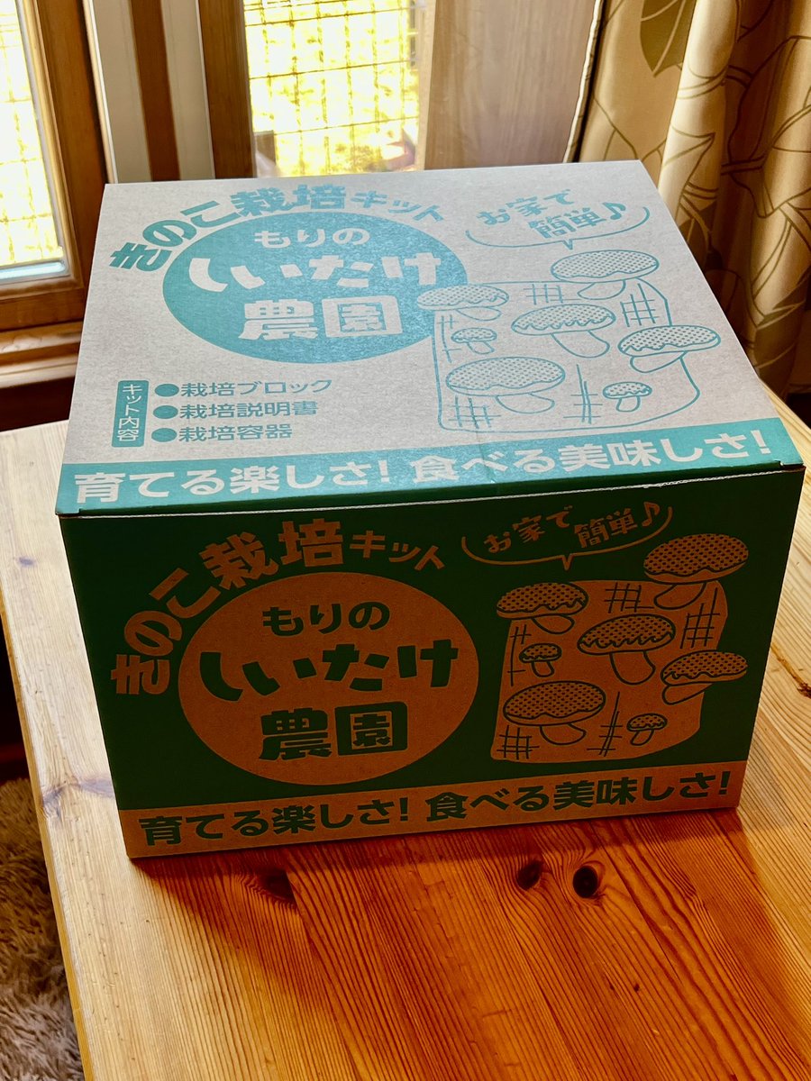 憧れのきのこ🍄‍🟫セット買っちった🍄