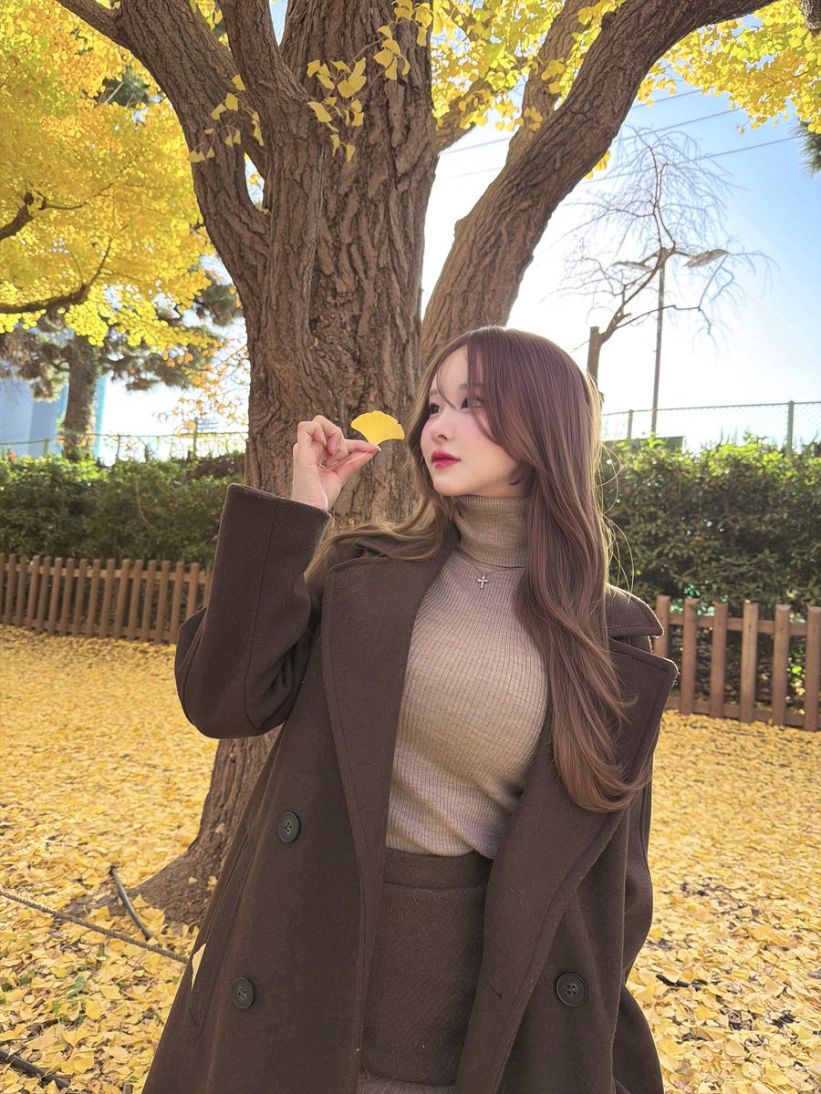 おにゃんこぽんぽこりん🤍🪽 @水曜日X54a (@ccr_live) / Posts / X