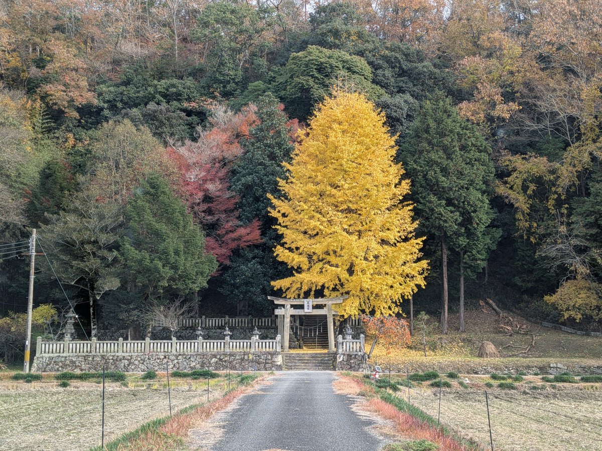 おまめ🦀🦀🦀 (@rubberduck222) / Posts / X