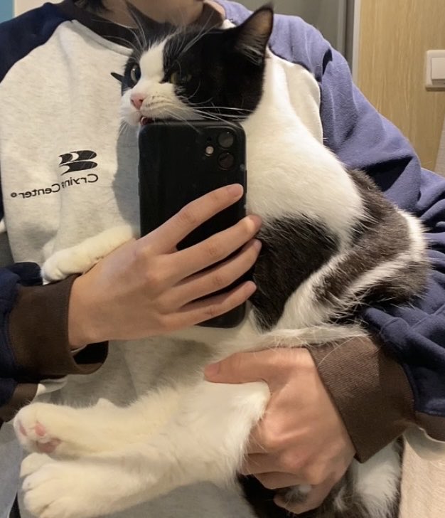ok computer tweet media