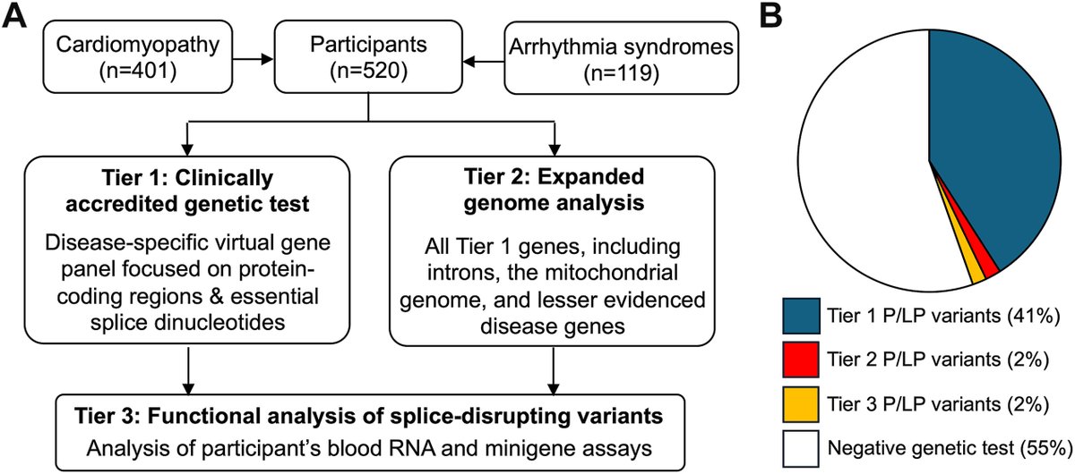 IchAuch_CC's tweet image. 🙌New paper out! Our study used expanded genome + RNA‑splicing assays in 520 heart disease patients boosting diagnosis yield by 4%, uncovering deep‑intronic &amp;amp; mitochondrial variants, and nominating new disease gene. doi.org/10.1016/j.gim.… #CardioGenetics #Bioinformatics
