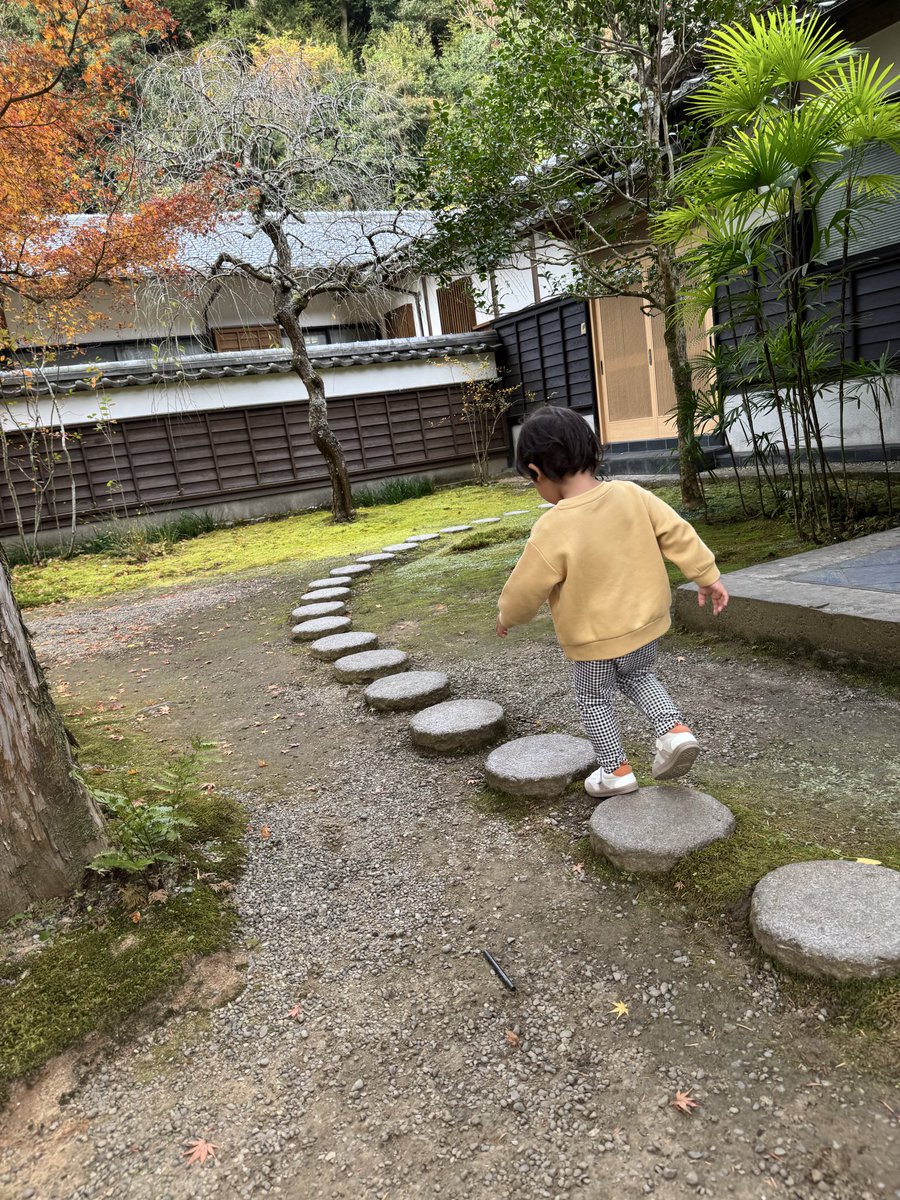 iijima_inchou's tweet photo. 今年も残すところあと１ヶ月　清水寺本坊庭園にて🍁 https://t.co/6z8fVOfEWP