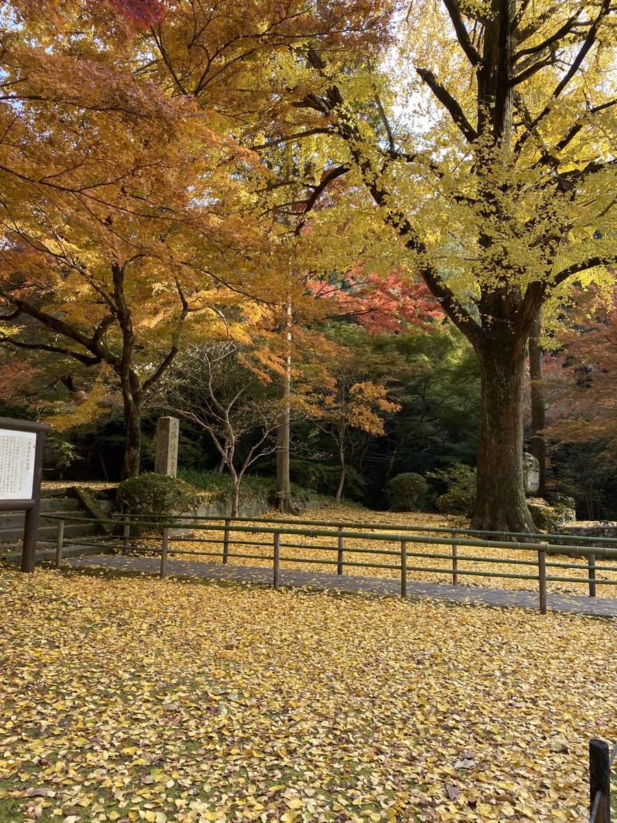 iijima_inchou's tweet photo. 今年も残すところあと１ヶ月　清水寺本坊庭園にて🍁 https://t.co/6z8fVOfEWP