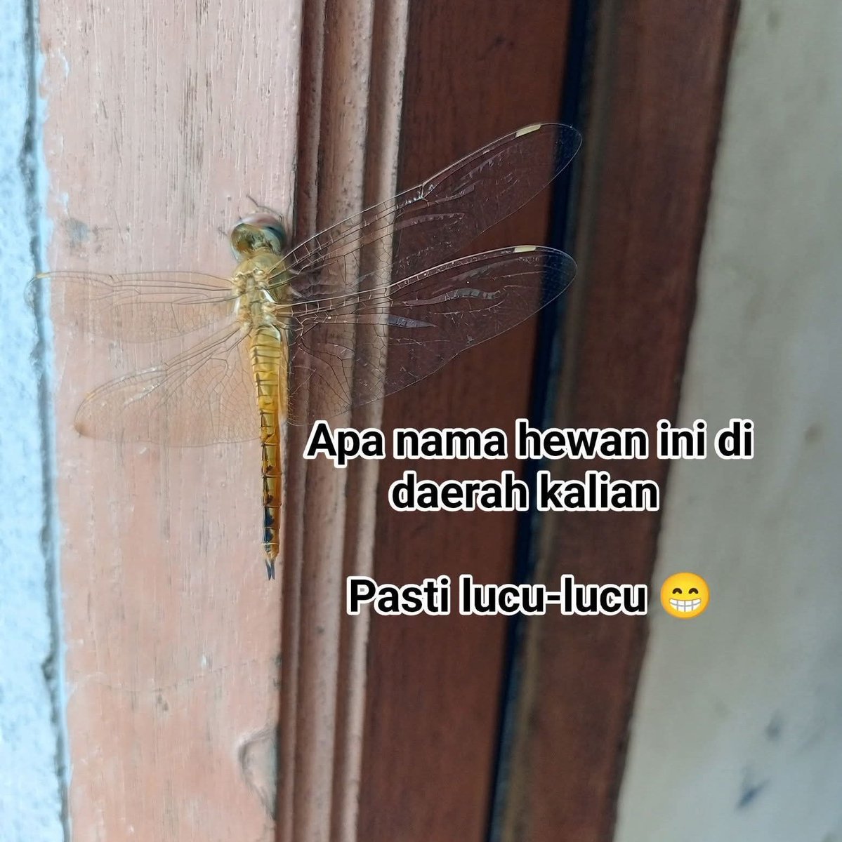 Ketawa itu GRATIS 🛩 tweet media