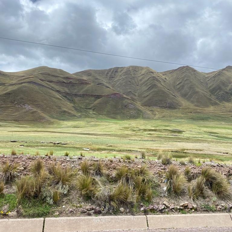 adelamd's tweet image. #NuevaFotoDePerfil