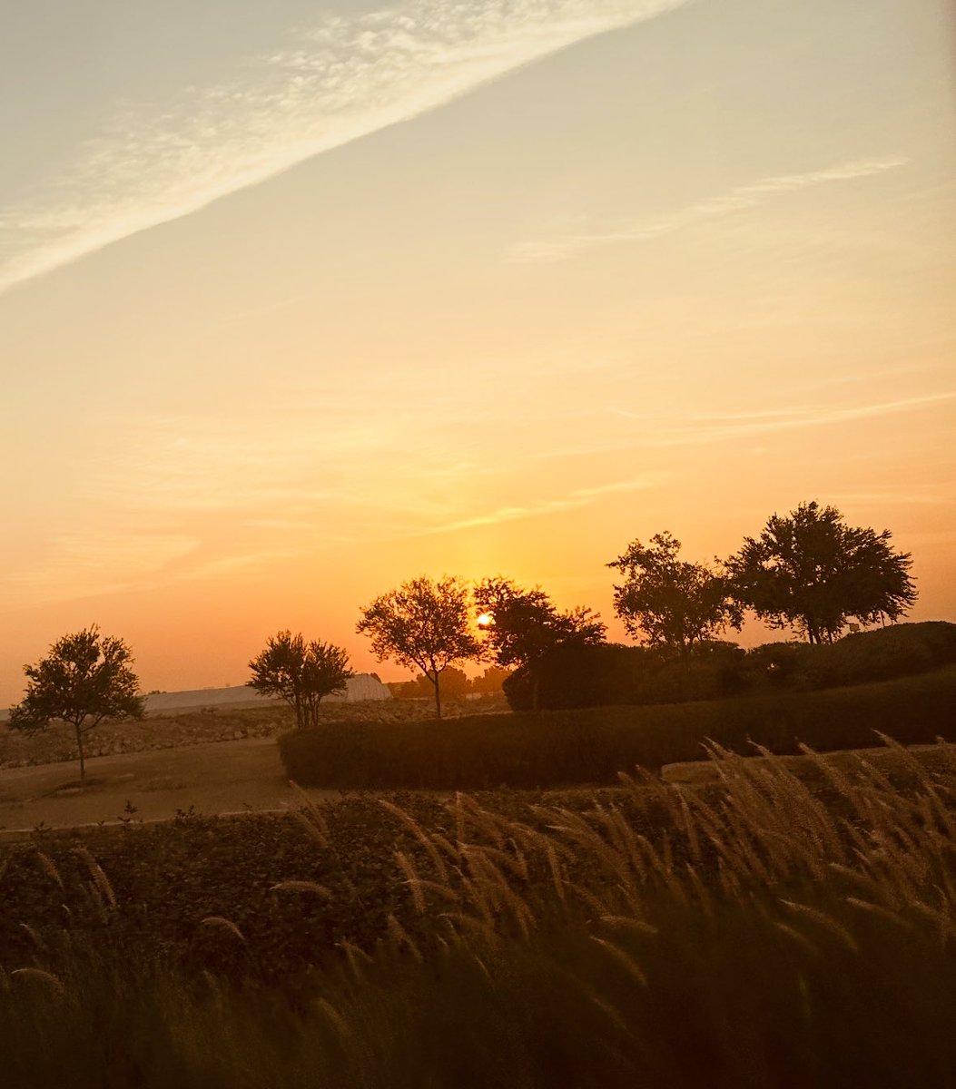 سمر 🦉 tweet media