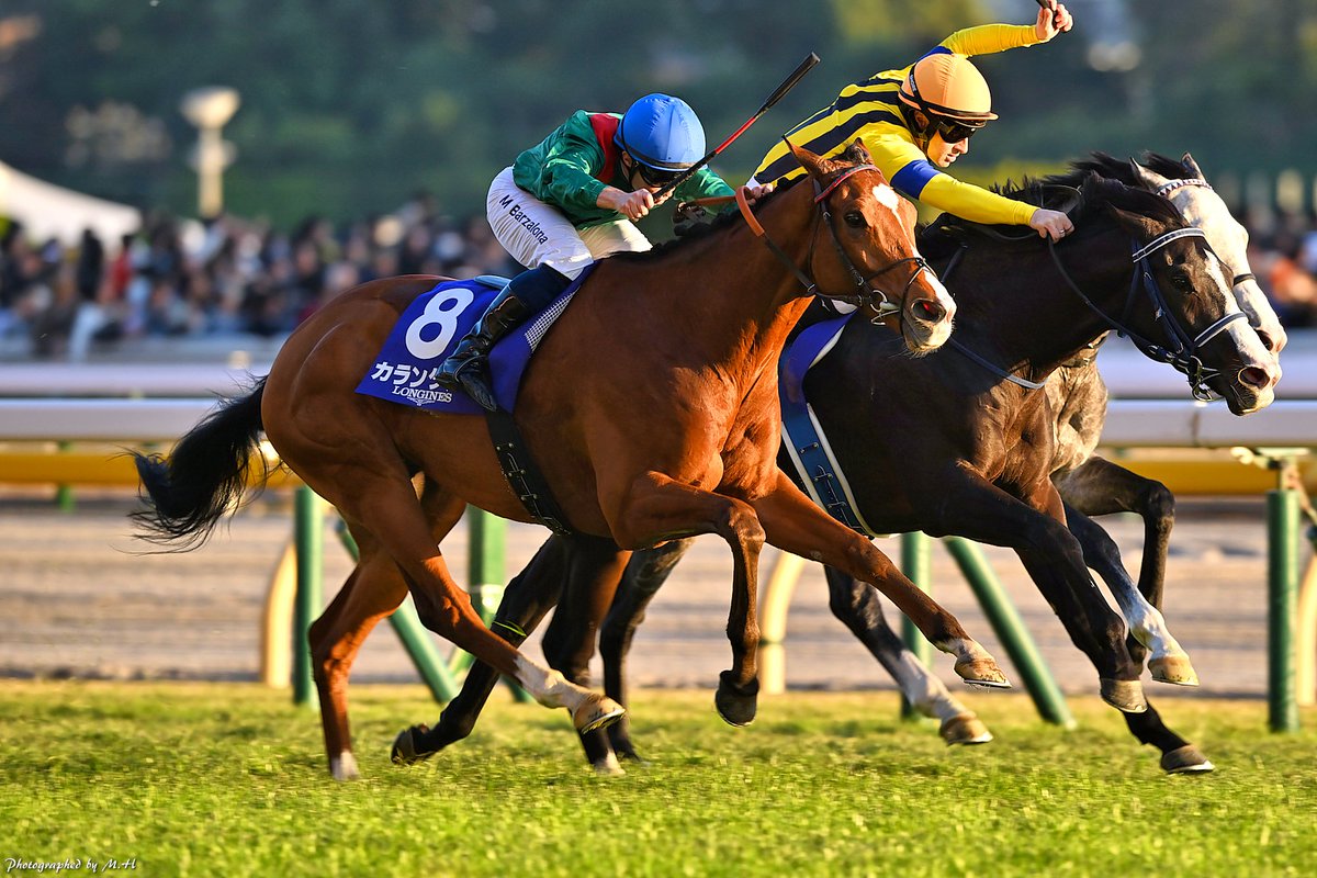 horse_memorys's tweet photo. Japan Cup 2025 - Calandagan
Japan Cup 2005 - Alkaased https://t.co/MwgDNnVxqO