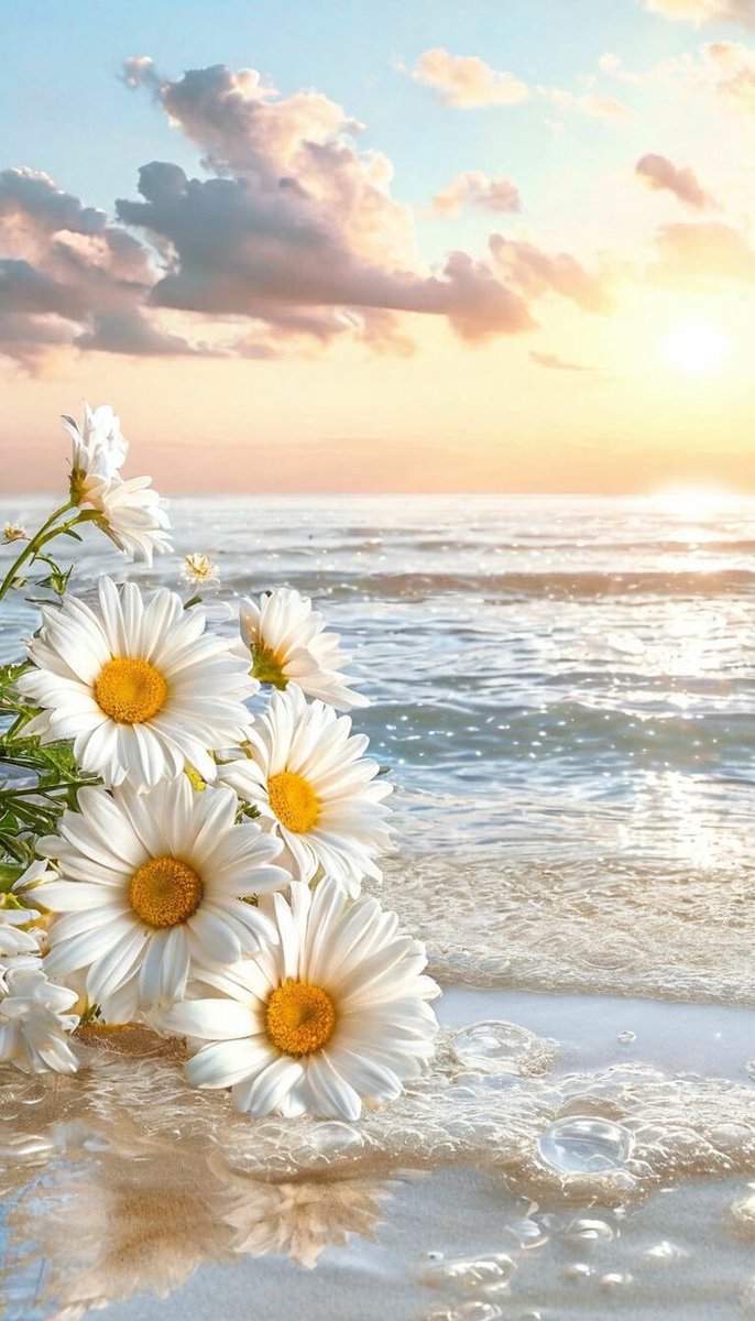 #صباح_الاشياء_المشرقه

اللهم لك الحمد حتى ترضى ولك الحمد اذا رضيت ولك الحمد بعد الرضا ..
يارب بداية شهر سعيدة لنا جميعاً🤍