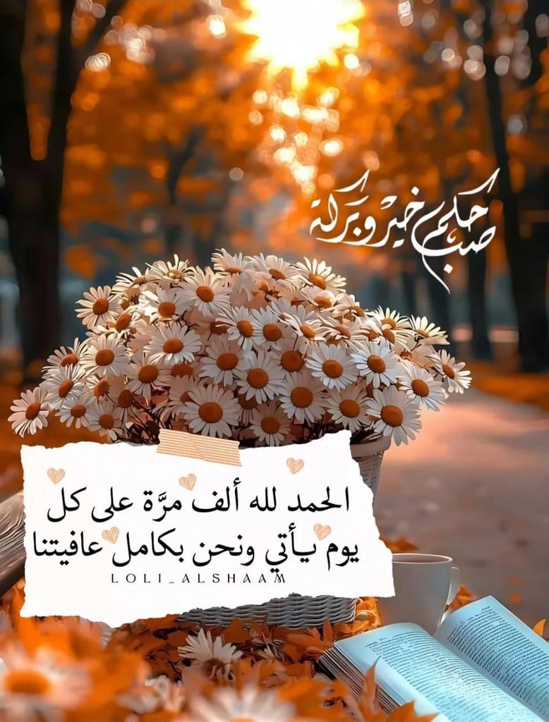 بدايات الصباح اللطيفة مُواساة، وجمال يخلق الابتسامة دون حدث مُسبق، الصباح امتدادٌ للنور من أفق السماء لأوردة القلب
صباح الخير وسعاده
❤️🌹
