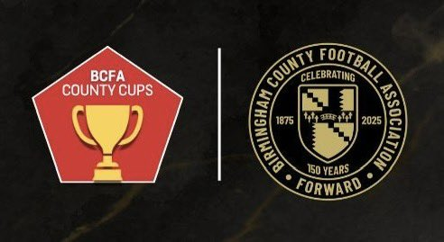 Earlswood Town FC tweet media