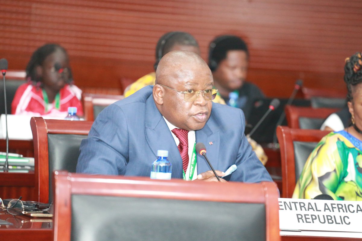 acerwc's tweet image. States took the floor to present the status of their reports, share updates on their technical, financial &amp;amp; institutional preparedness, and highlight key challenges and opportunities. They also provided indicative timelines for the submission of their upcoming reports.

#ACRWC35