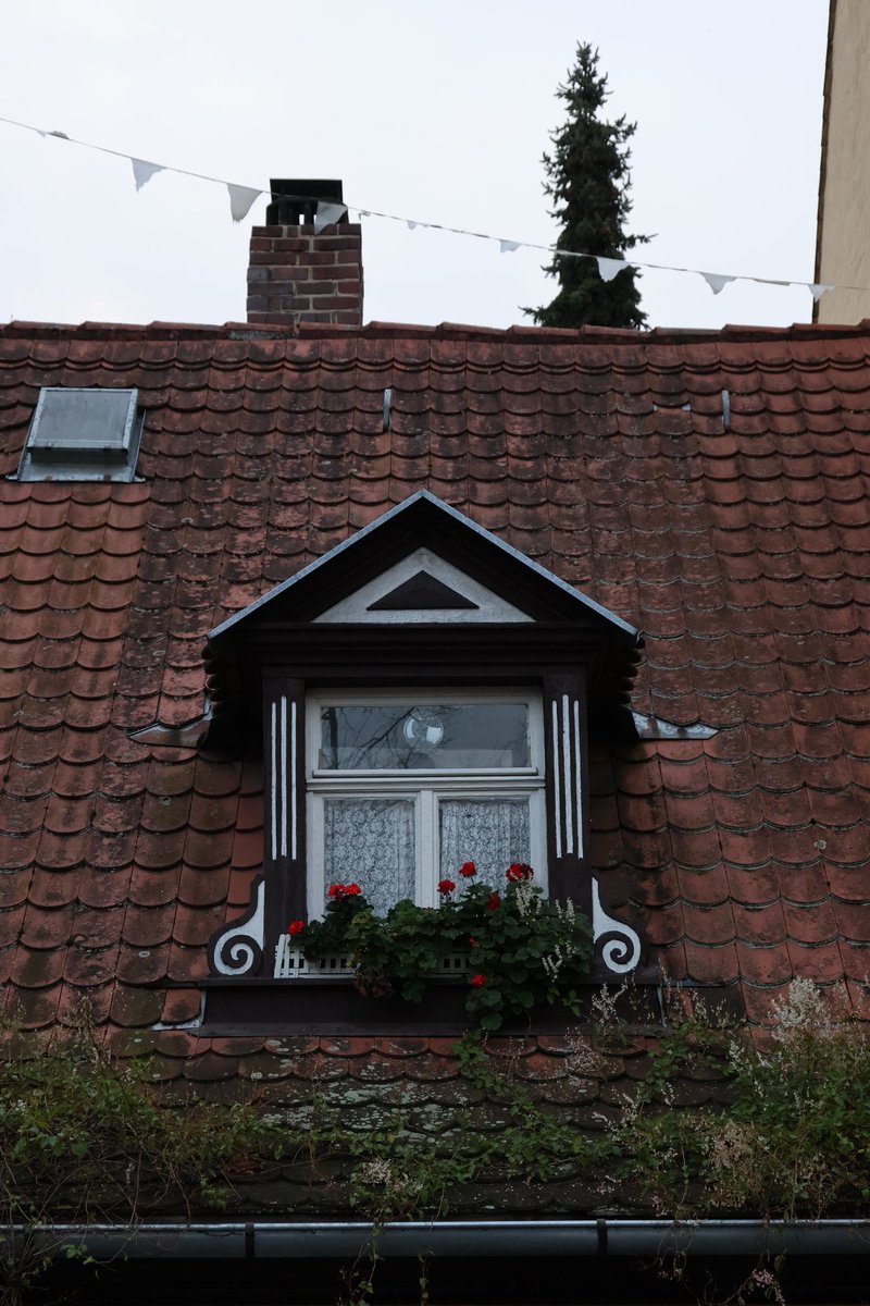 SingingLehrerin's tweet image. #AlphabetChallenge #WeekWforWindows