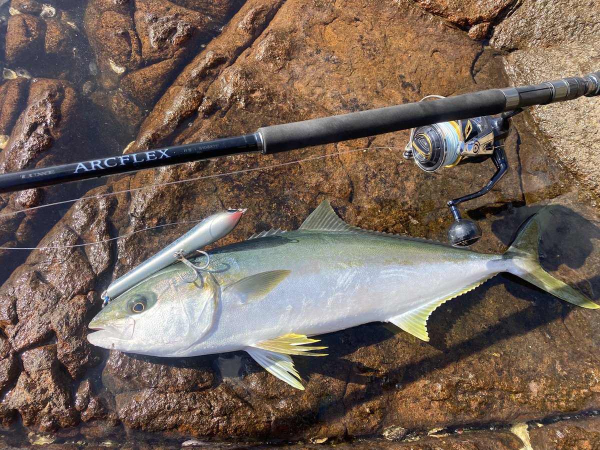 AobaFishingClub's tweet photo. ちぃマサ https://t.co/ZhPeslDtxc