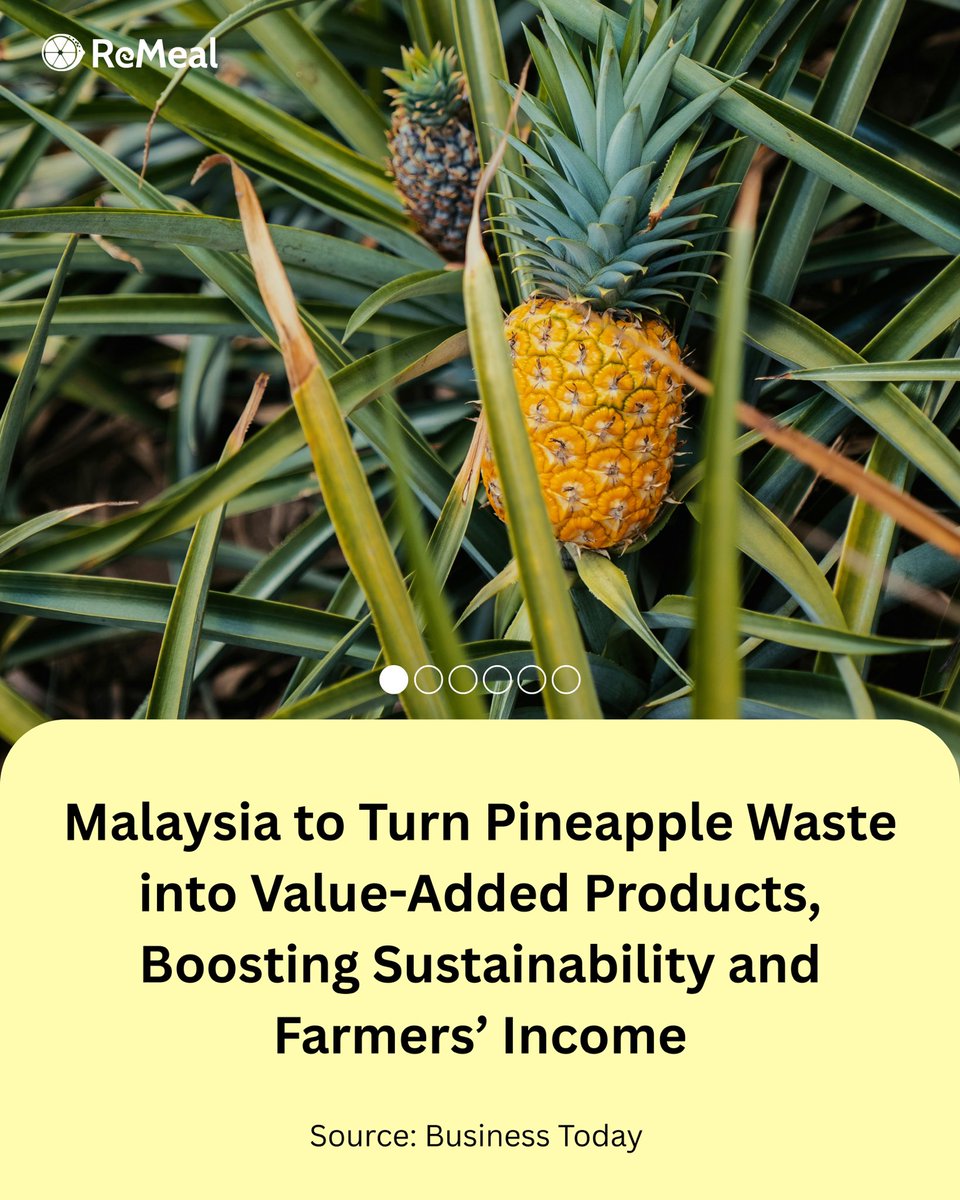 ReMeal 🍋🟩 Rescue Surplus Food in Malaysia tweet media