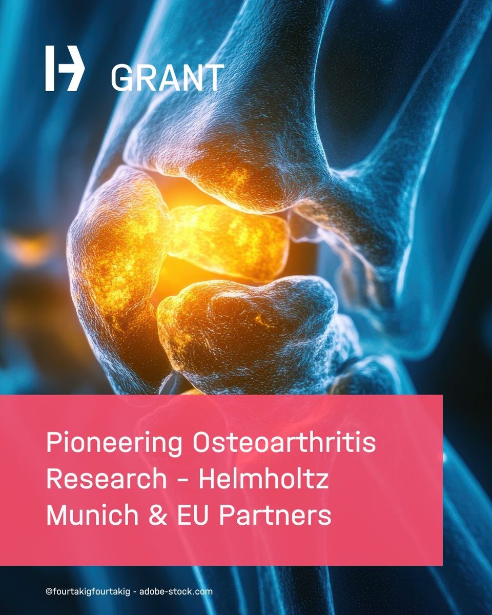 Helmholtz Munich | @HelmholtzMunich tweet media