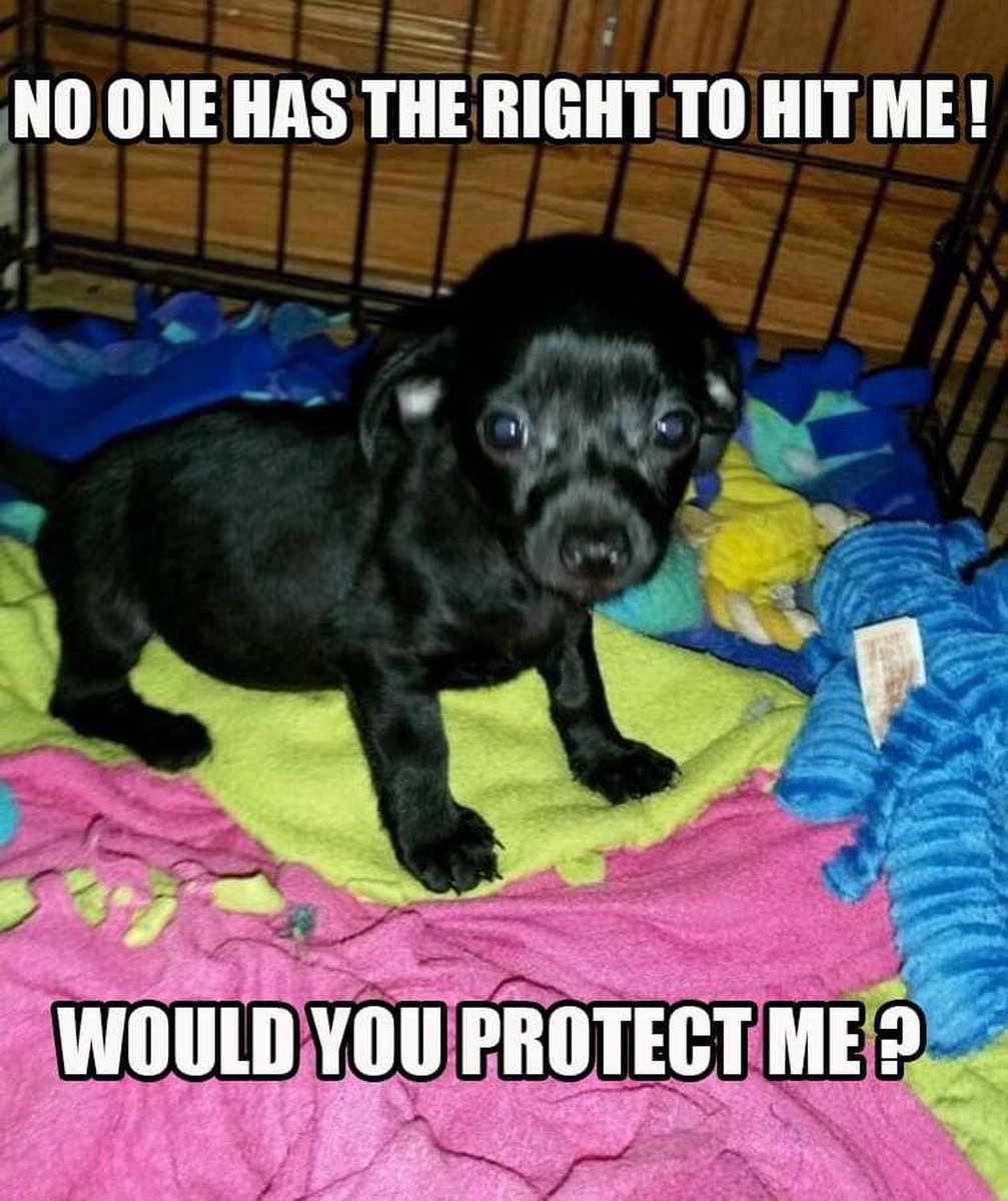 The Four Hearts (@t4hrts) on Twitter photo 