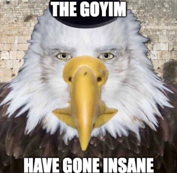 방금 태양광 패널이 "중국의 녹색 허파"를 파괴하고, 숲을 파괴하는 환경 재앙에 대해 잔소리를 들었습니다. 자살적인 버그맨 KPI 추적을 위해서 말이죠. 평소처럼 인간 이하 표본에서도 자기 인식이 유도될 수 있는지