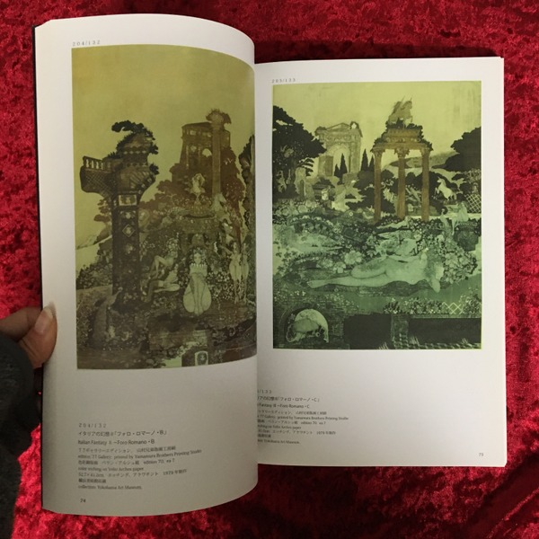 山下清澄銅版画全作品集 : catalogue raisonne:color etchings 1969