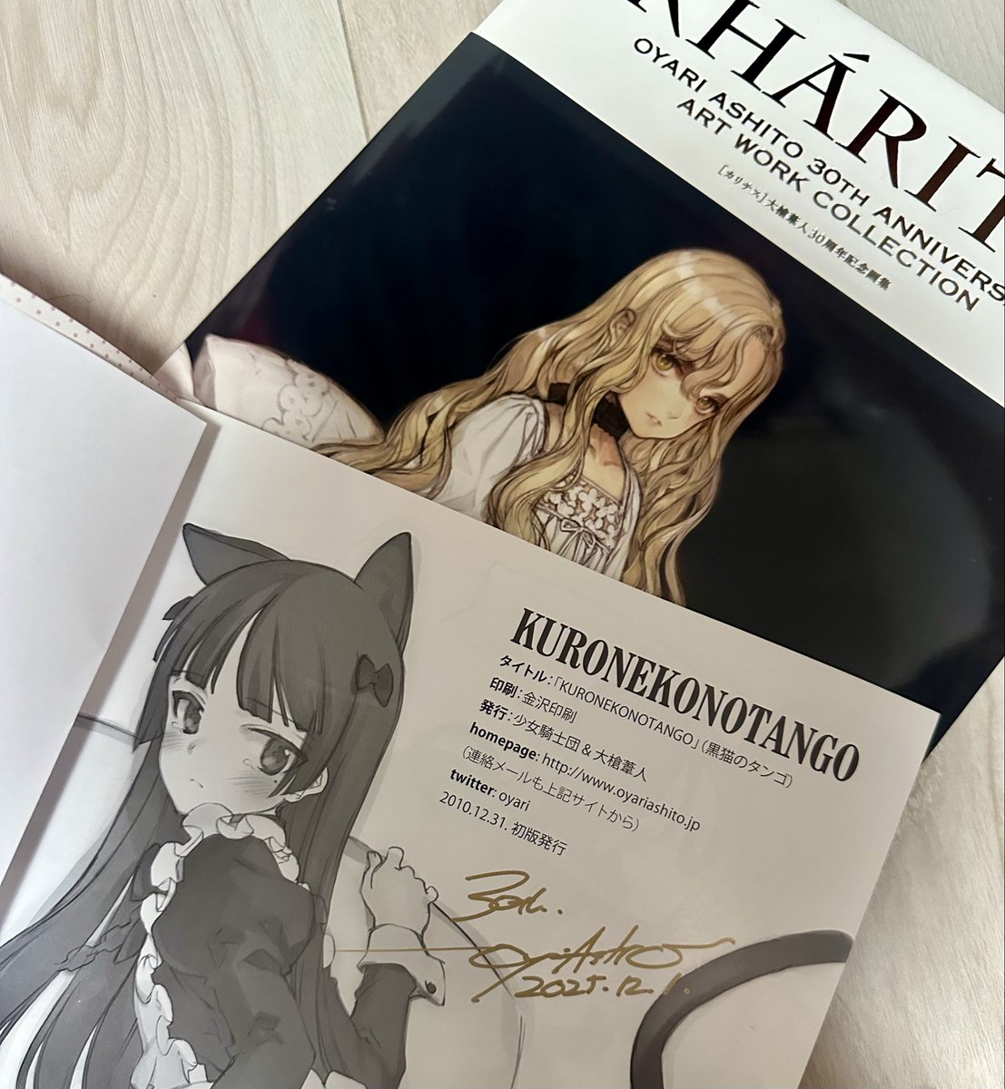 大槍葦人先生の展示に行きました！ずっと何度も読んだり真似して描い