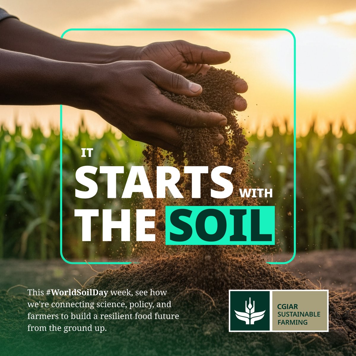 CGIAR Sustainable Farming Science Program (SFSP) tweet media