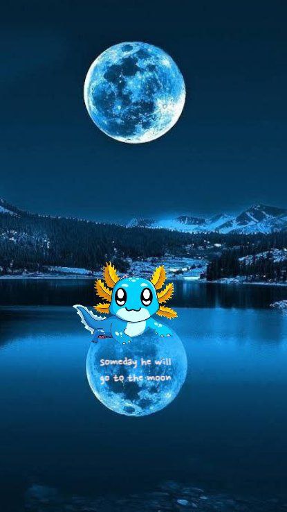 <a href="/Xking332/">X</a> I'm stacking the Dip on $AXOL right now ski

Ain't missing out on this generational buttom, you shouldn't miss out too