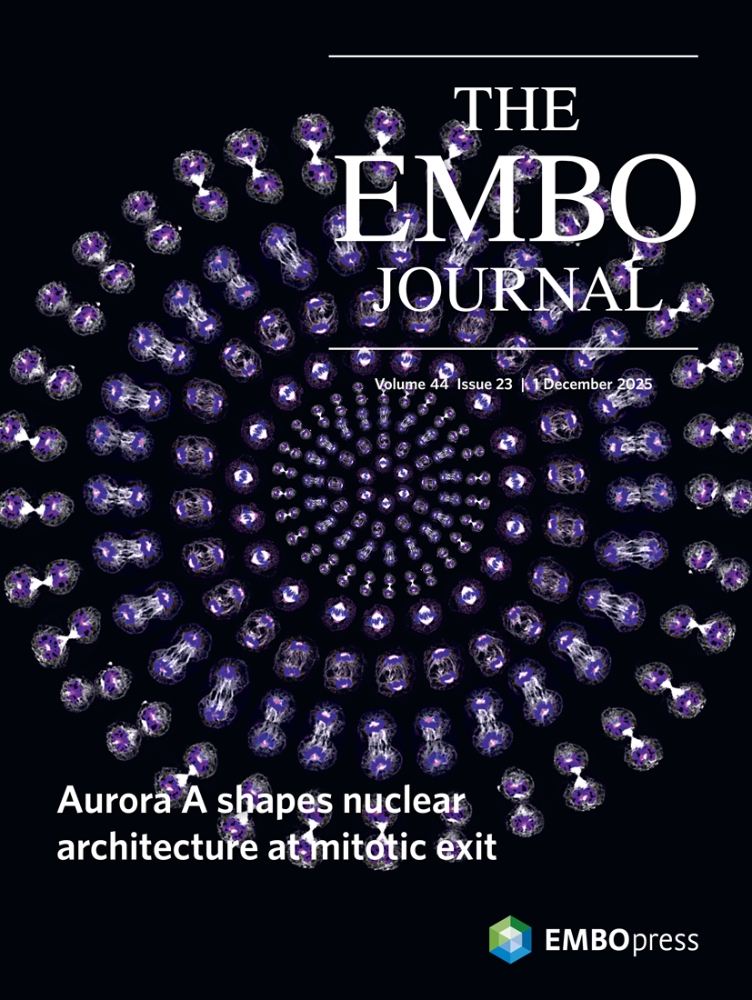 Sachin Kotak tweet media