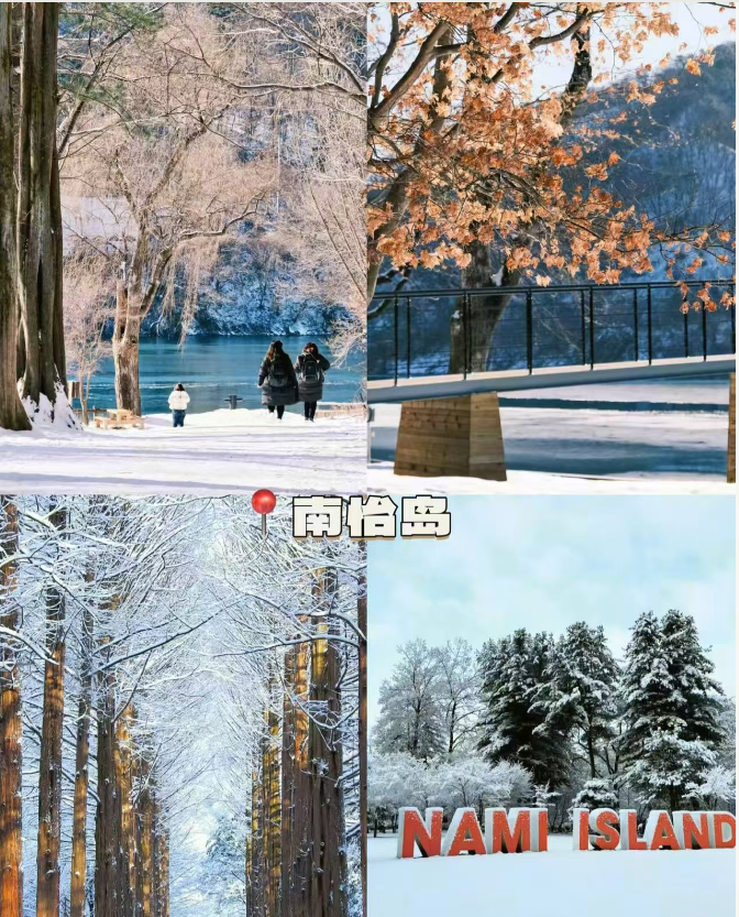 Eva 树姐👧🏻 tweet media