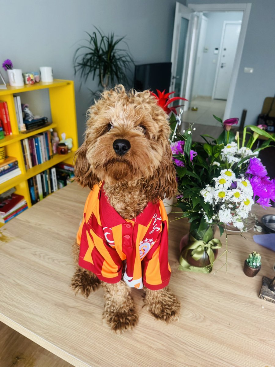 bsylcn's tweet photo. ❤️💛 https://t.co/BSr6aqUwMx