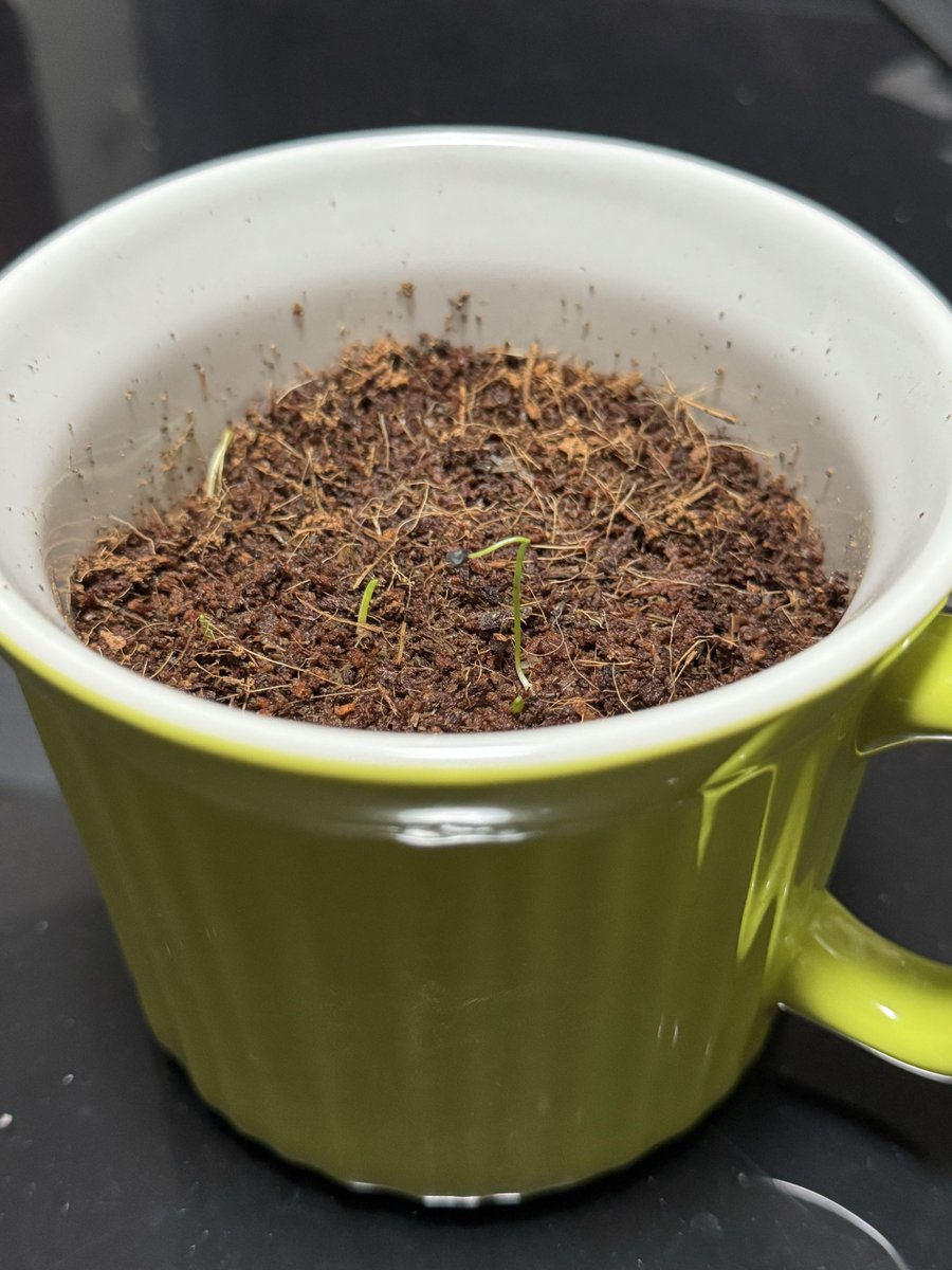 かふぇおれ/ポスター アートポスター cafe au lait bowl（カフェオレボウル）｜北欧