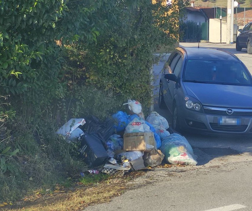 #ambiente L'abbandono di #rifiuti è reato e se viene commesso usando un'automobile è prevista anche la sanzione accessoria della sospensione della #patente da 4 a 6 mesi. Non fatelo!