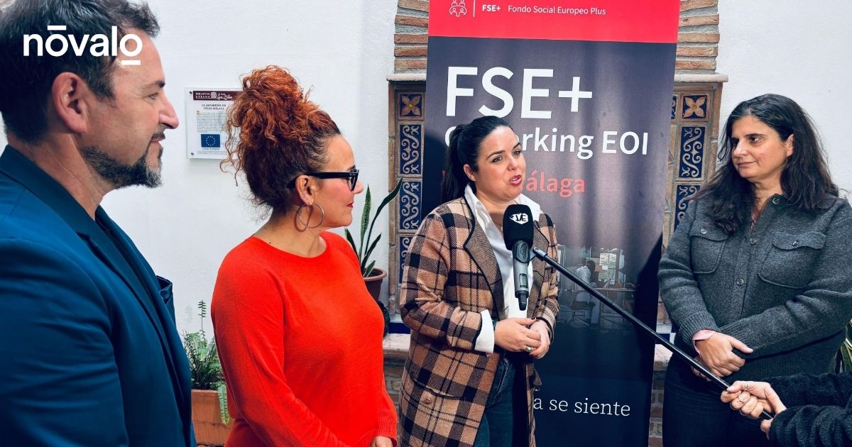 Nóvalo · The Language of Brands tweet media