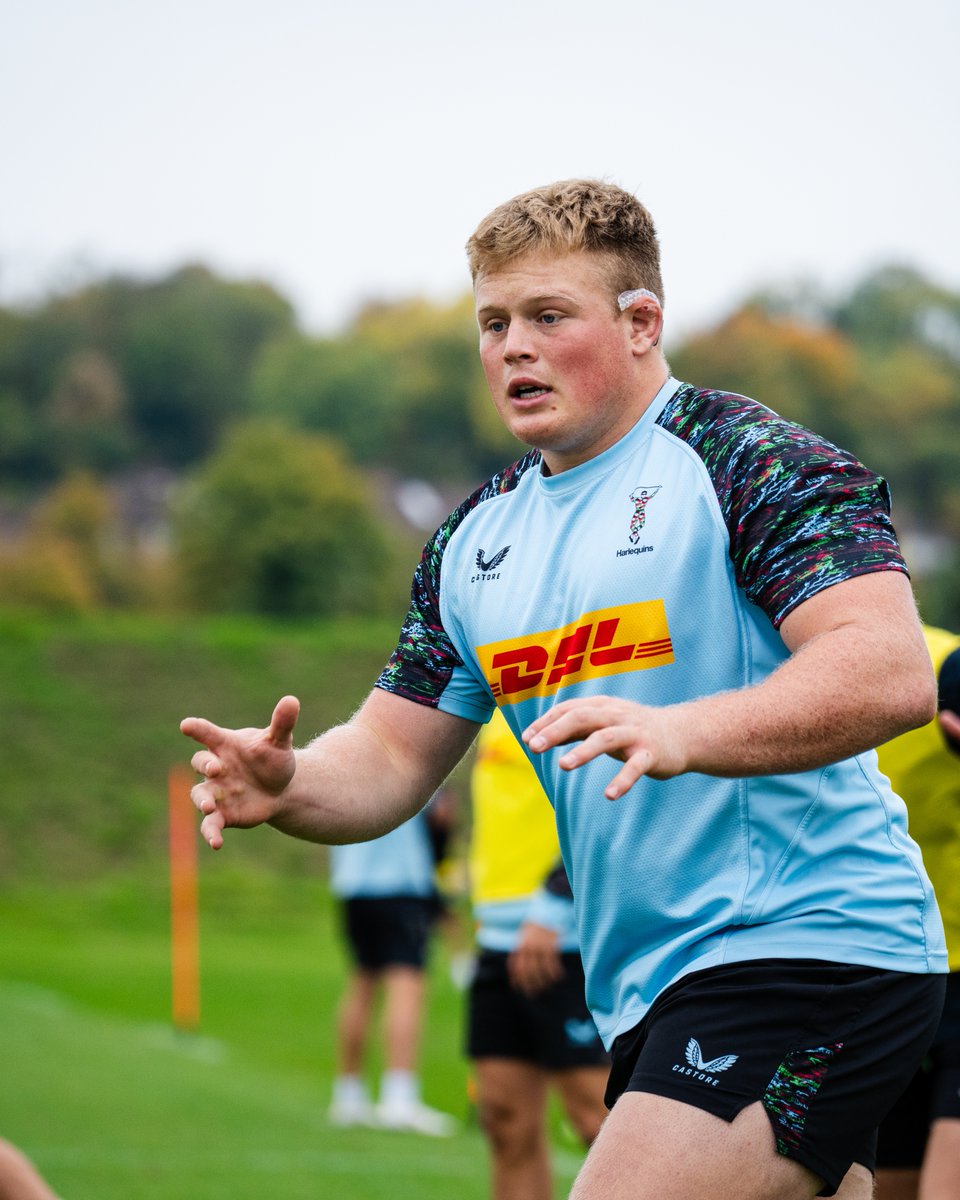 Harlequins's tweet image. Champions Cup week 🏆

#COYQ