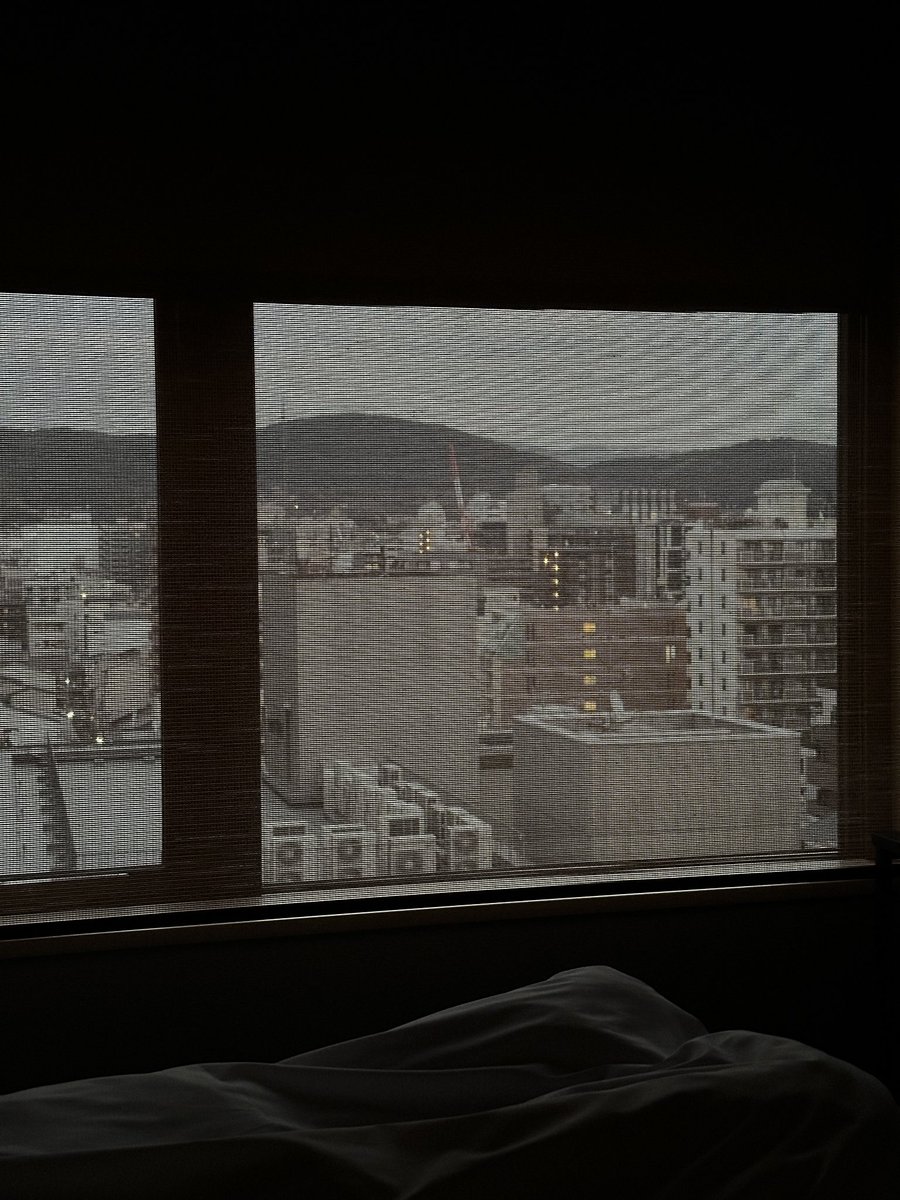 鱼SAKANA tweet media