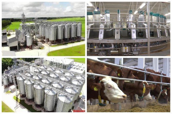 RCTTBELARUS's tweet image. Business offers of the Republican Production Unitary Enterprise &quot;Ustye&quot; of the NAS of Belarus ictt.by/eng/home/news/…
#innovation #techtransfer #IPR #inventions #B2B #B2C