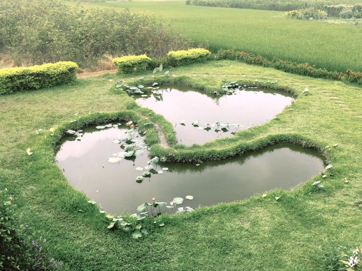 Gaia ☀︎︎︎ tweet media