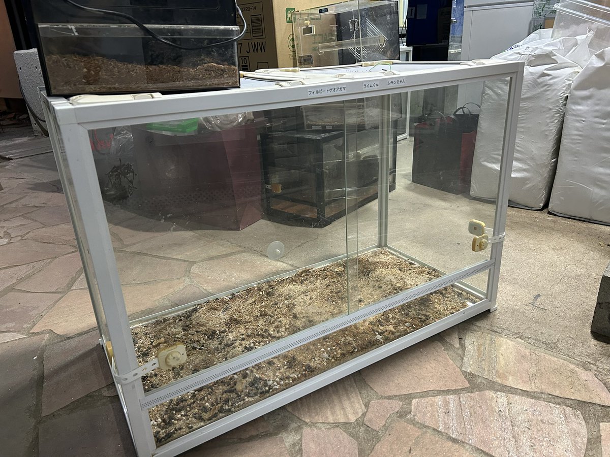 買取ました‼️ 中古 爬虫類ケージ 9060 2台あります キレイにしてから