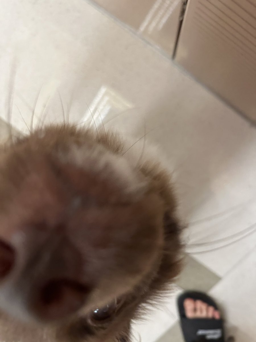 밤팅이.. (@bamtingoo) on Twitter photo 