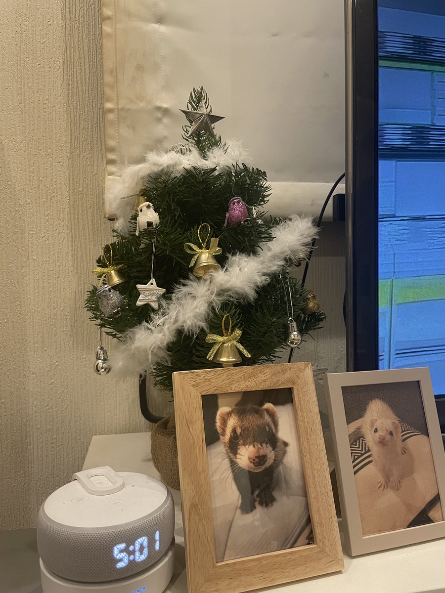 そらのすけ (@soramame_xx) / Posts / X