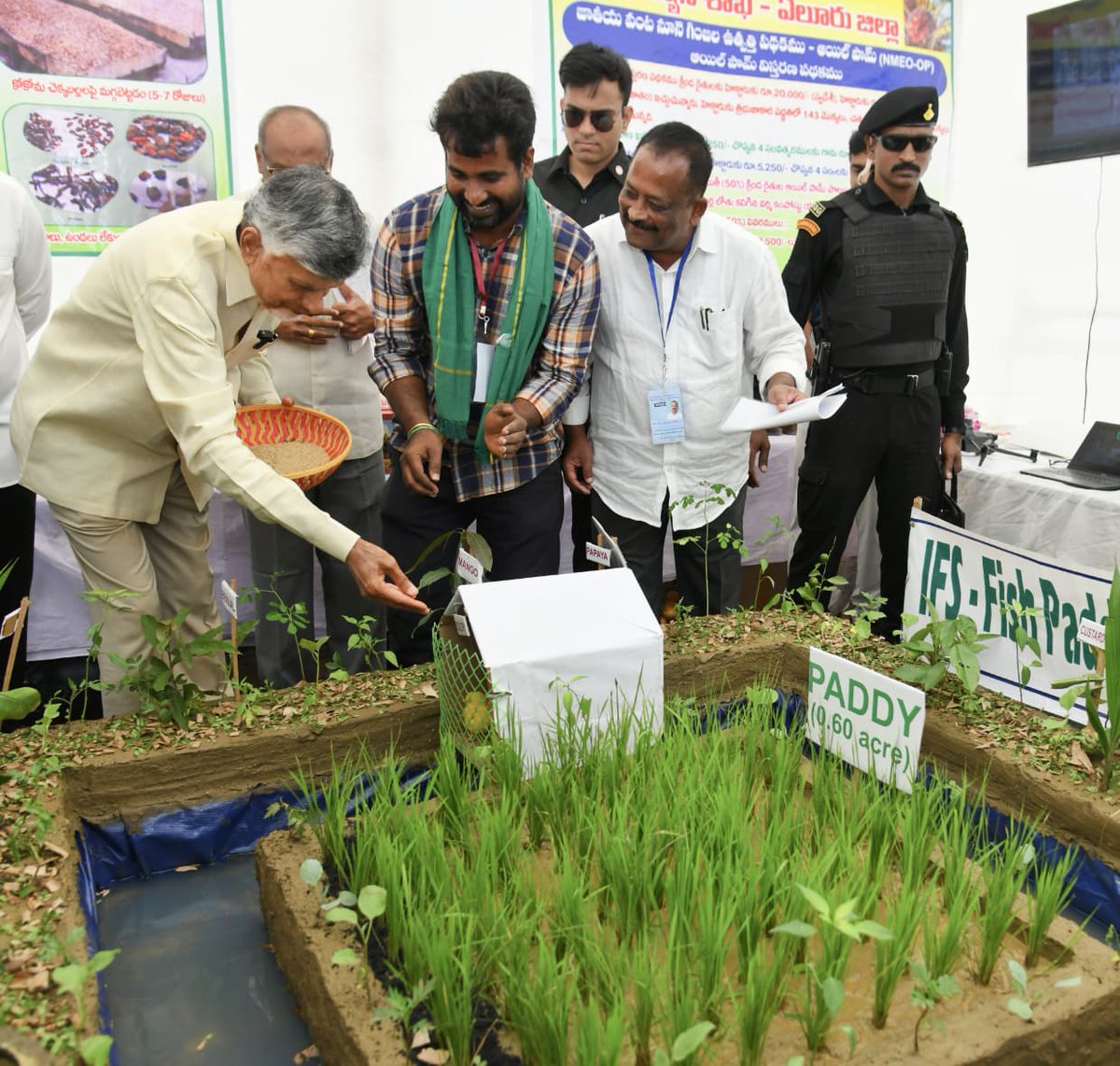 JaiTDP's tweet image. ఏలూరు జిల్లా, ఉంగుటూరు నియోజకవర్గం, గోపీనాథపట్నంలో పేదల సేవలో కార్యక్రమంలో ముఖ్యమంత్రి చంద్రబాబు నాయుడు గారు పాల్గొన్నారు. లబ్ధిదారులకు పింఛన్ల పంపిణీ అనంతరం ప్రజావేదిక వద్ద ఏర్పాటు చేసిన స్టాళ్లను సందర్శించారు. అనంతరం ప్రజలను ఉద్దేశించి ముఖ్యమంత్రి ప్రసంగించారు.
#పేదలసేవలో…