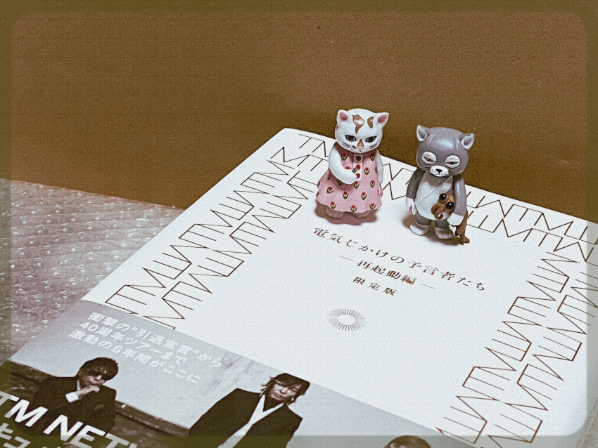 eririn_2eriko3's tweet image. 届きました🥹
真っ白な表紙に金の箔押し、重みのあるハードカバーの本、背表紙の金色の文字も美しい。栞も金色にキラキラしていてとても綺麗。
梱包状態といい丁寧に送り出された本だなあと思いました。今夜ゆっくり読むよ！
 #TMNETWORK