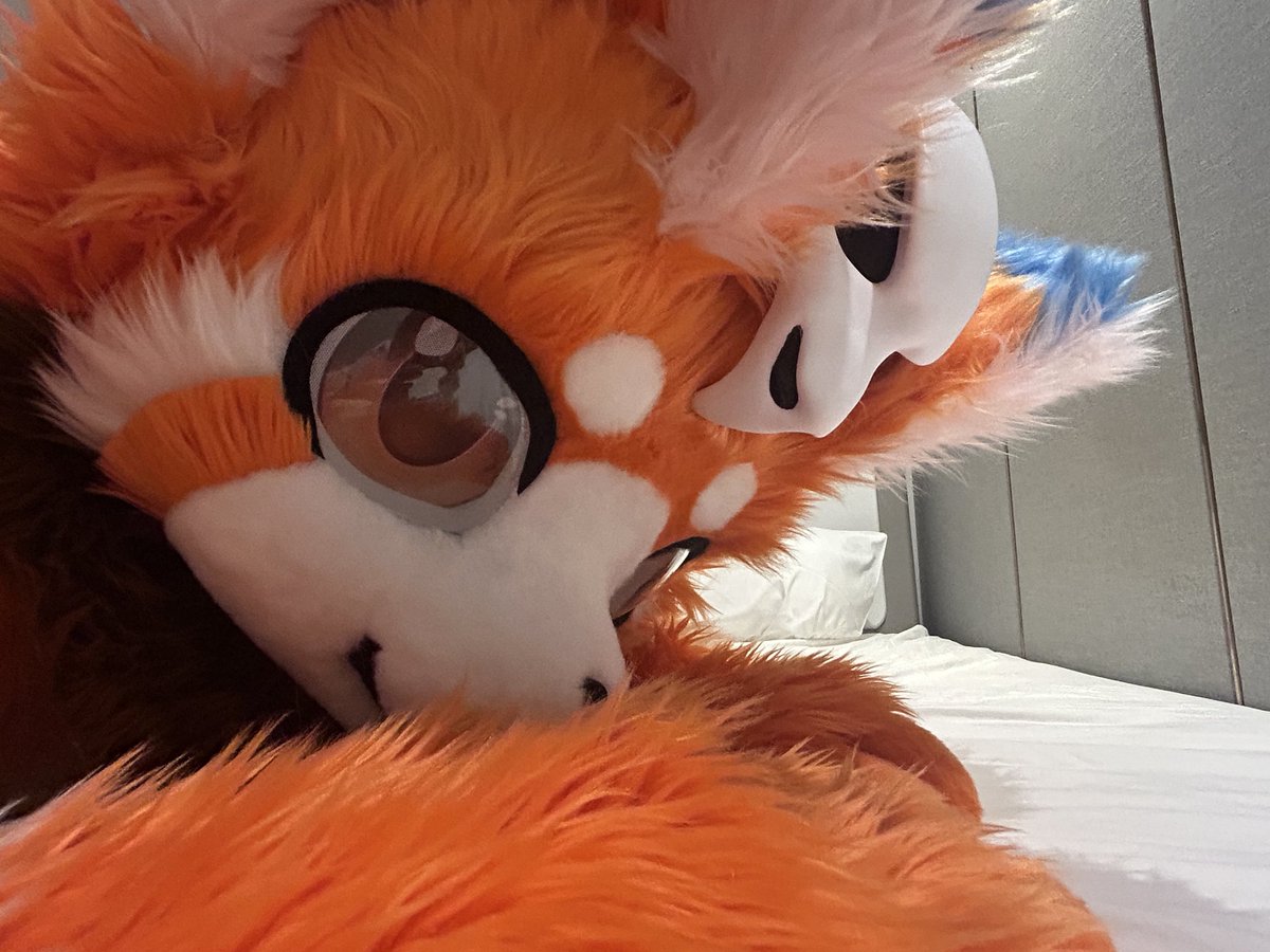 TSchnuffel's tweet image. 撈一撈，撈一撈
內餡填充@yiyou0716