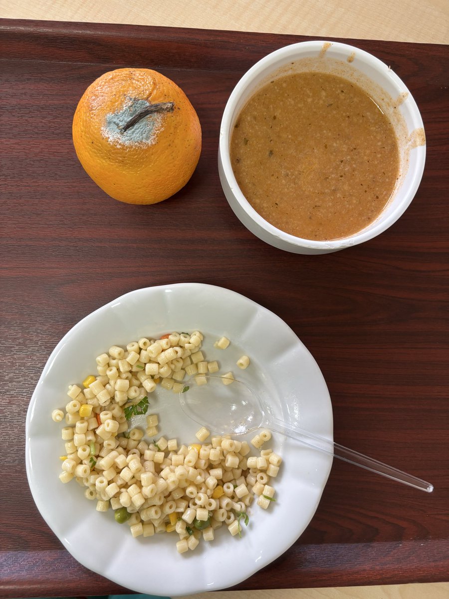 Rhothomirr's tweet photo. Hastanede verilen menü. Küflenmiş portakal kesilmiş çorba dümdüz makarna. Verilen değer bu https://t.co/KprOr8UWxg