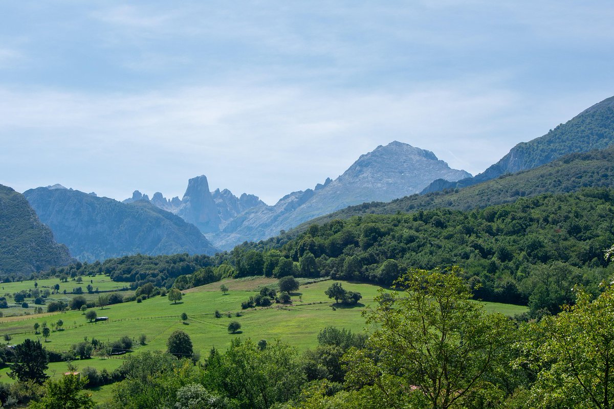 Las conclusiones del I Congreso Internacional de Turismo Rural (Asturias) van en la dirección correcta:
Autenticidad, sostenibilidad y comunidad 🌱
Justo la base del turismo generativo. lnkd.in/dqKZKcrk
#TurismoRural #Asturias #TurismoGenerativo #DestinosRurales